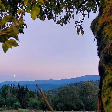 Schronienie Orlow Domek Zawoja
